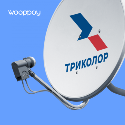 news icon